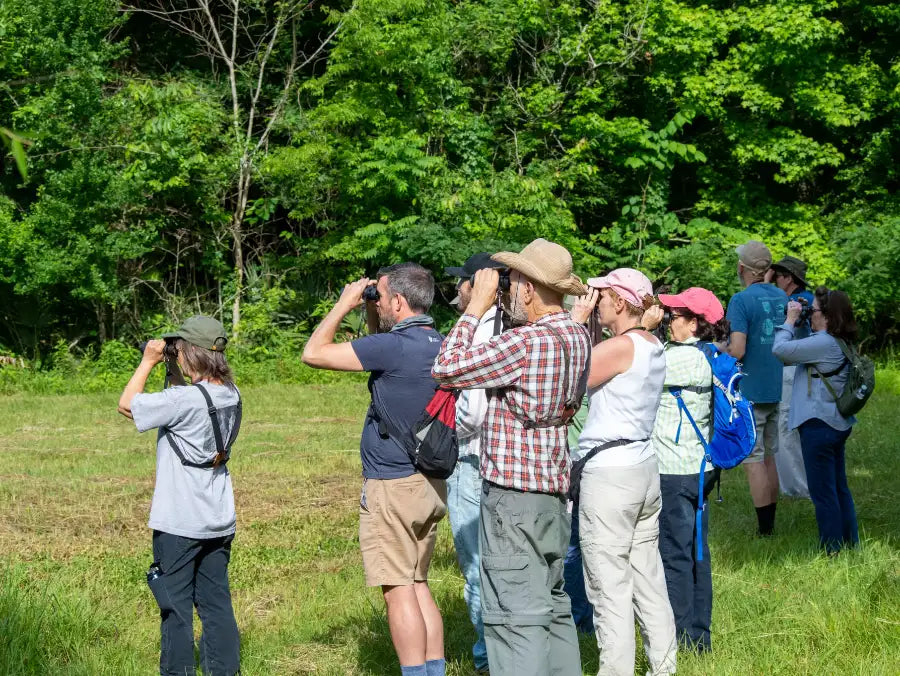 A group of people engaged in birdwatching in a lush green nature reserve, using binoculars and dressed in outdoor attire.