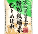 Miyagi Hitomebore Rice 11 lbs - Tokyo Central - Japanese Imported Rice - Hitomebore -