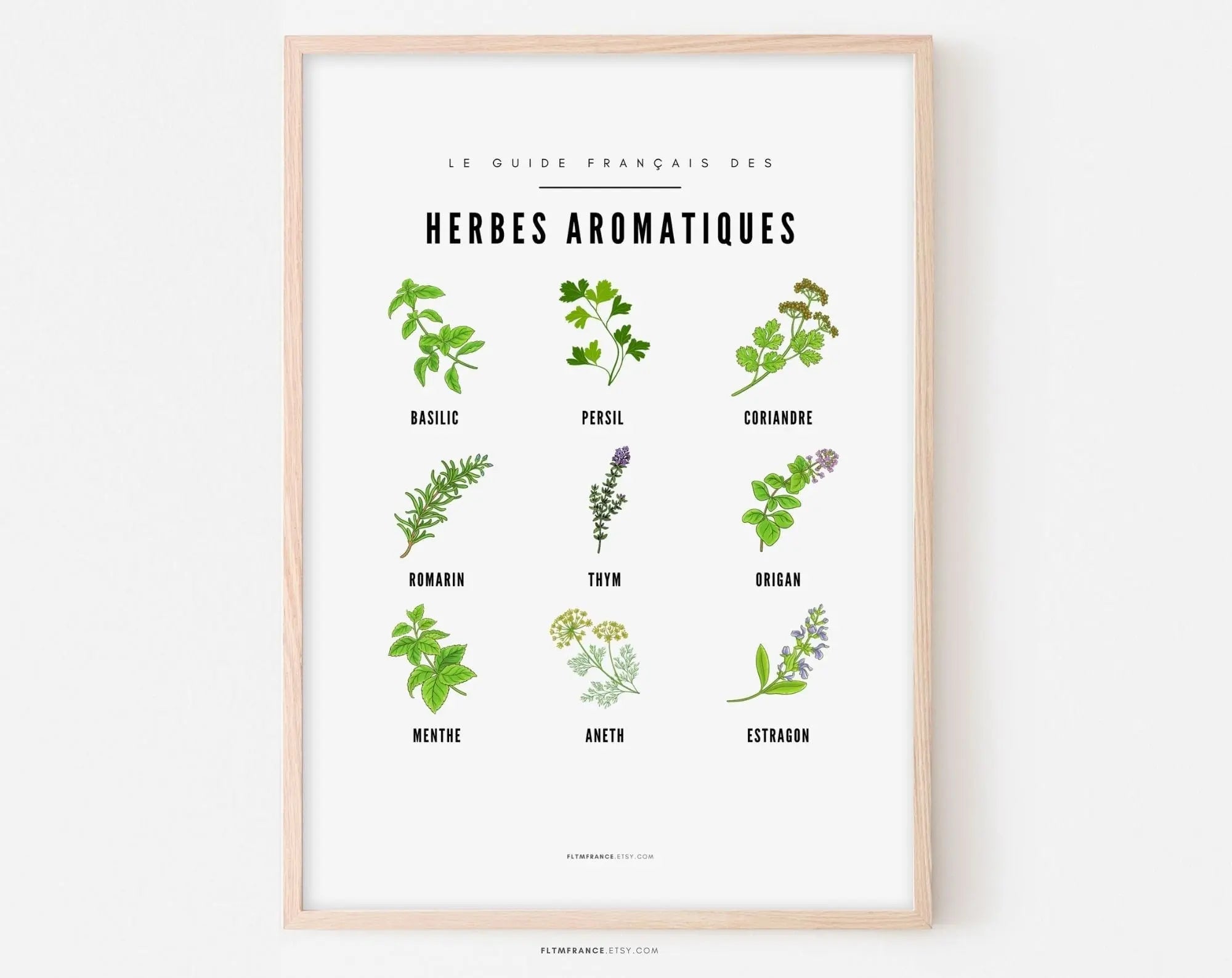 Affiche Herbes aromatiques - Guide des différentes herbes aromatiques et plantes sauvage - Poster à imprimer - Décoration murale