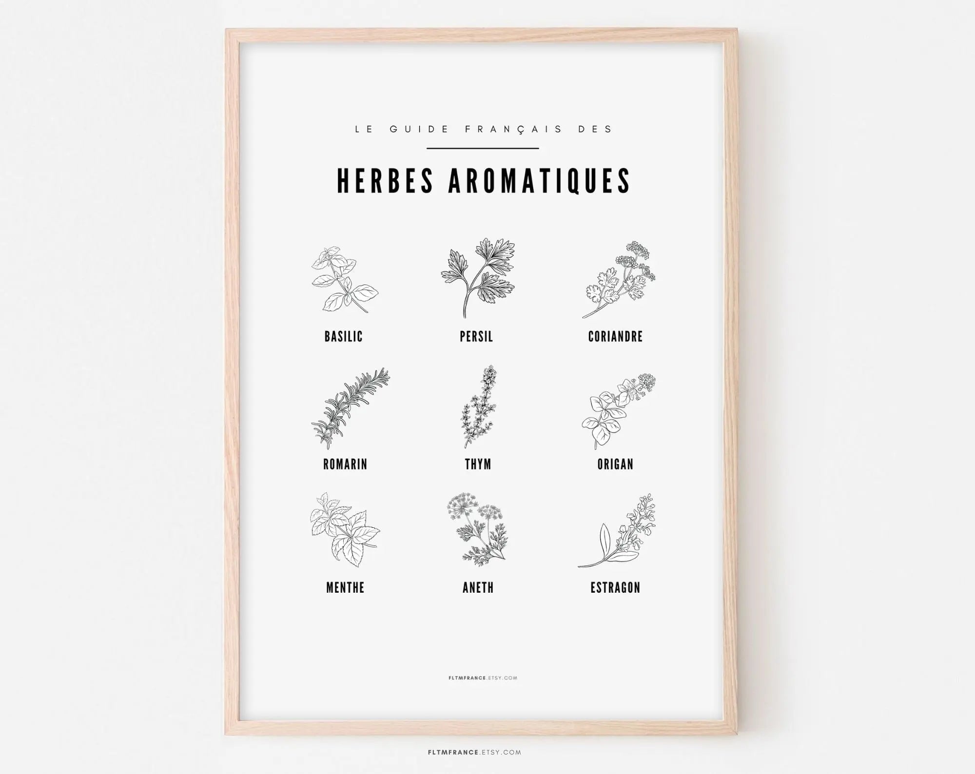 Cartel de Hierbas Aromáticas - Guía de diferentes hierbas aromáticas y plantas silvestres - Cartel imprimible Decoración de pared en blanco y negro