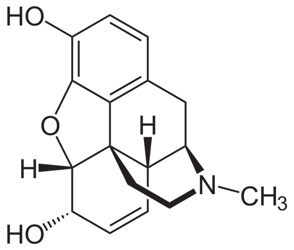 Morphine molecule