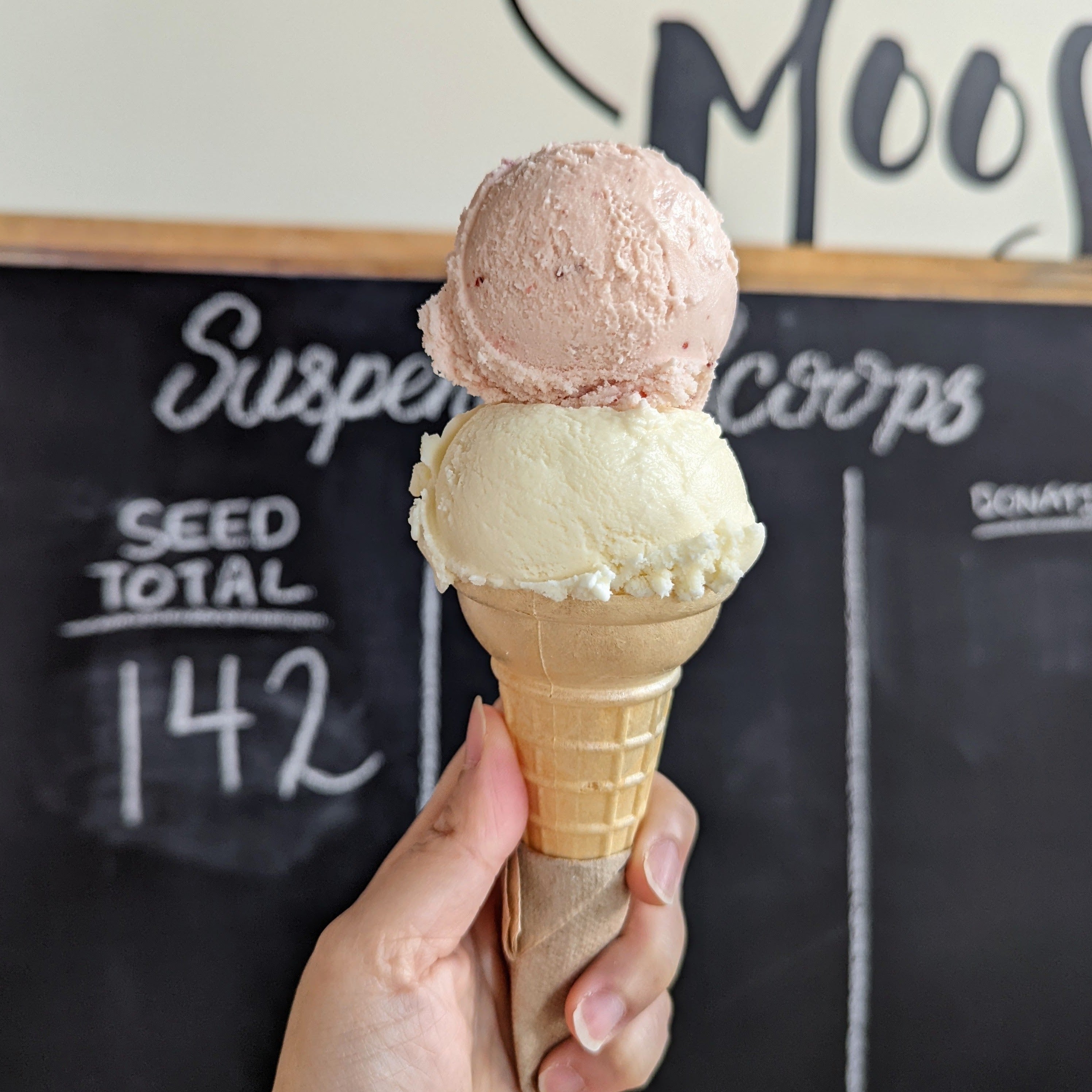 Suspended Scoop Donation - Moo Shu Ice Cream & Kitchen