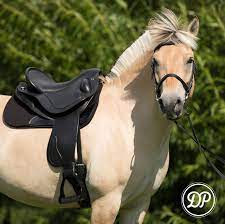 DP Saddlery Quantum Sport saddle on short backed horse hafflinger