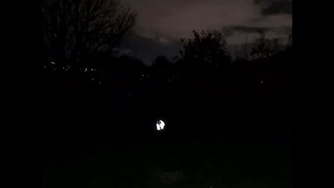 RainyRover™ ReflectiCoat Vivaim