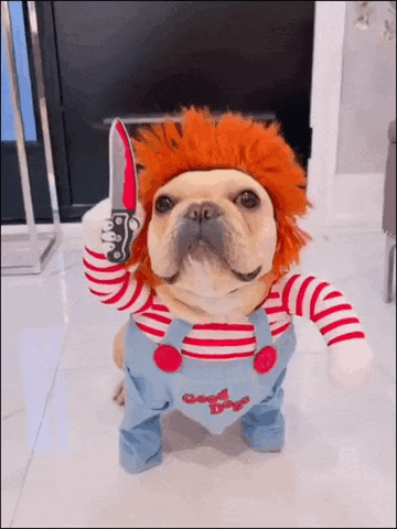 Spooky Pup Halloween Costume - THE CHUCKY PUP | Unleash Halloween Fun for  Your Dog – Pawztive