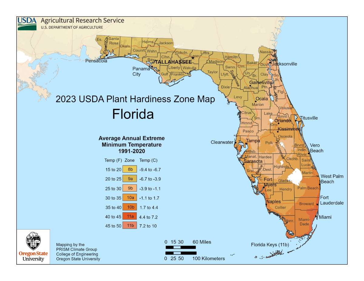 florida-plant-hardiness-zone