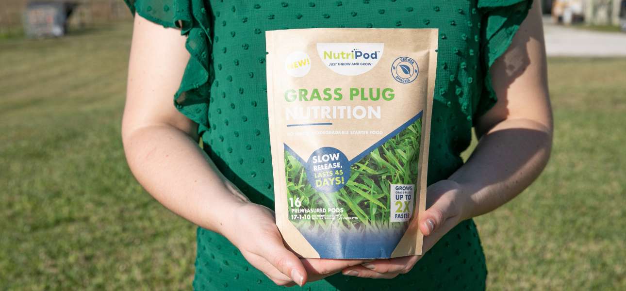 grass-plug-fertilizer-nitrogen