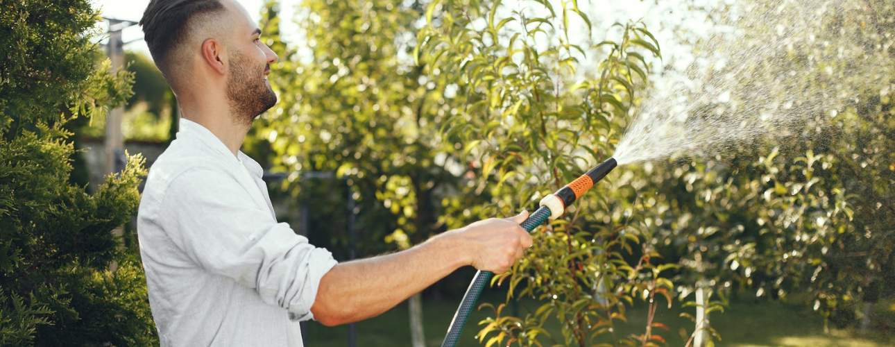 when-to-water-plants-after-fertilizer