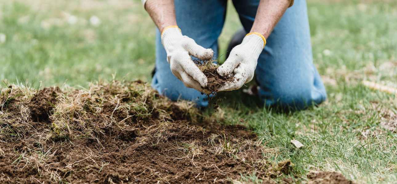 why-fertilize-lawn-to-prevent-weed-growth