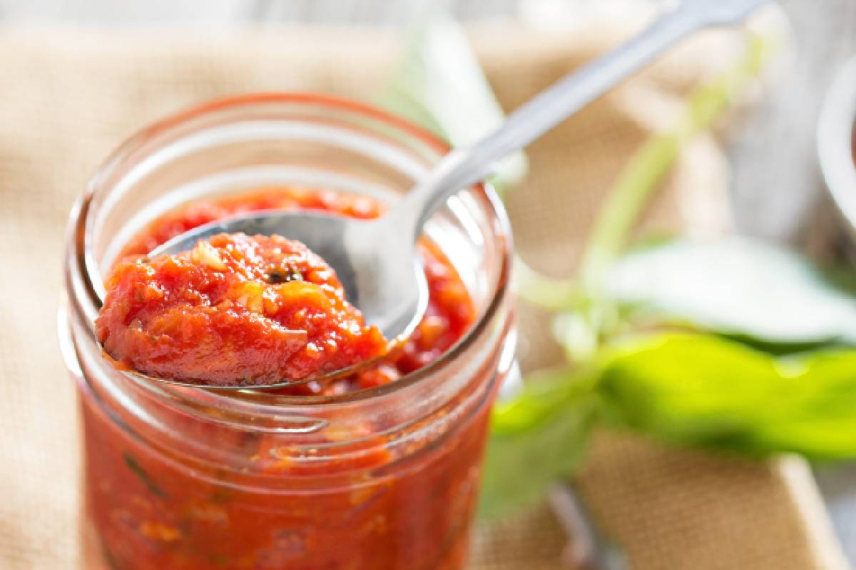 Fermentation Essentials: Everything You Need to Know