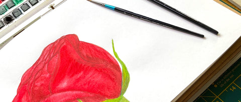 Red rose hybrid tea rose painted in watercolour in a sketchbook with a paintbrush laying on the page next to the illustration
