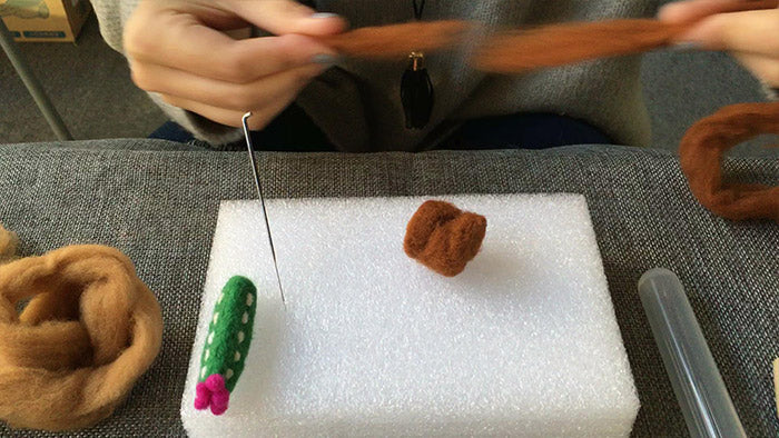 How to make needle felted cute potted cactus