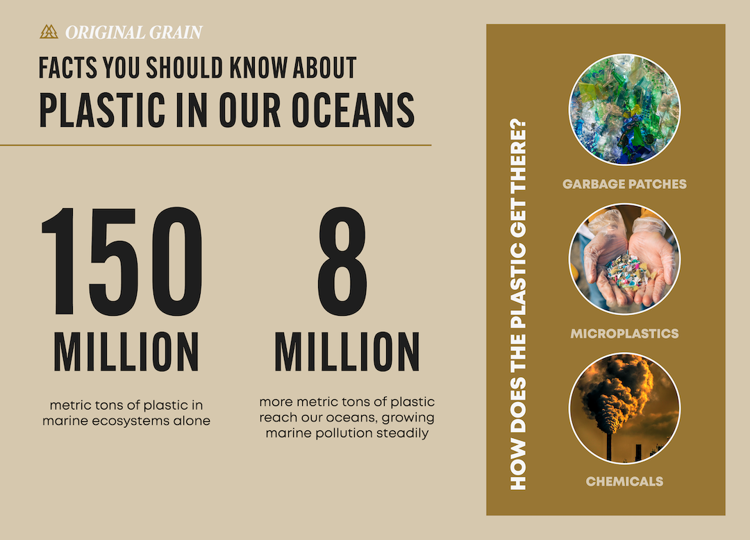Facts you should know about plastics in our oceans