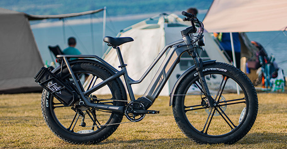 Fiido Titan E-bike parked on the grass