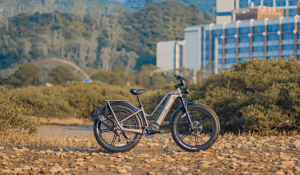Fiido Titan electric bicycle parked on the side of the road