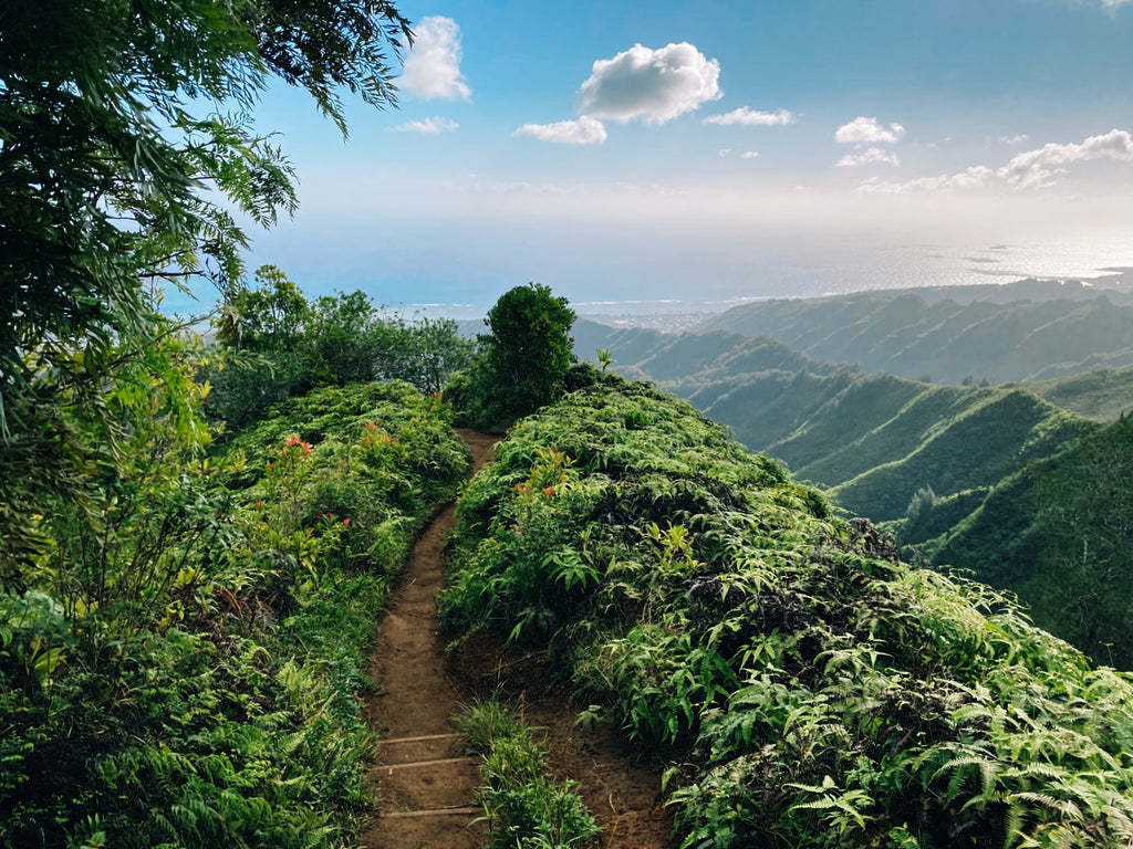 Lavahut - Kuliouou Hike - View of Hawaii Kai