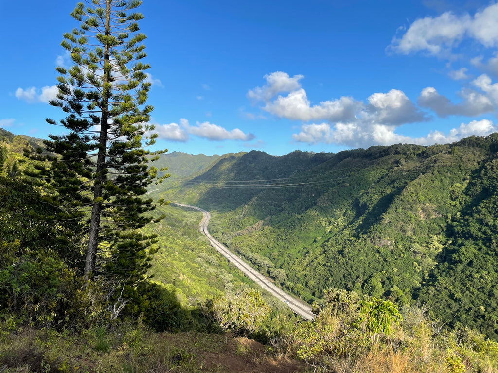 Lavahut - Hiking the Aiea Loop Trail - H3