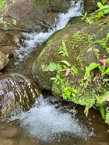 Lavahut Blogs - Lulumahu Hike - Hawaii Outdoors