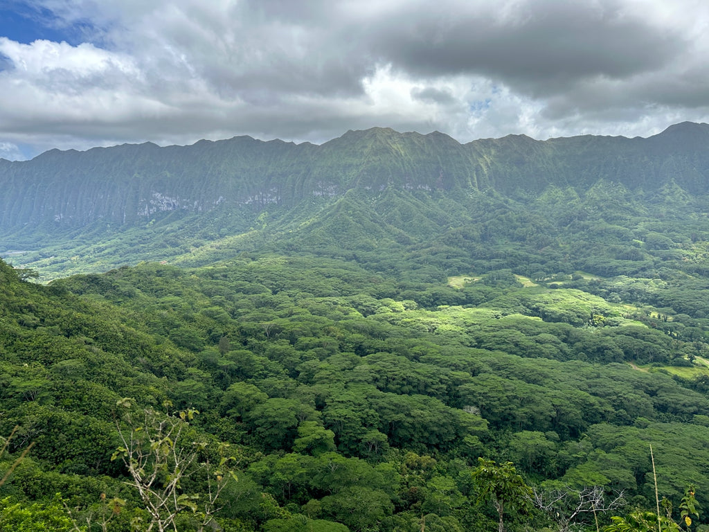 Conquer the Olomana Hiking Adventure: A Thrilling Journey to Oahu's Stunning Peaks (Peak 1)