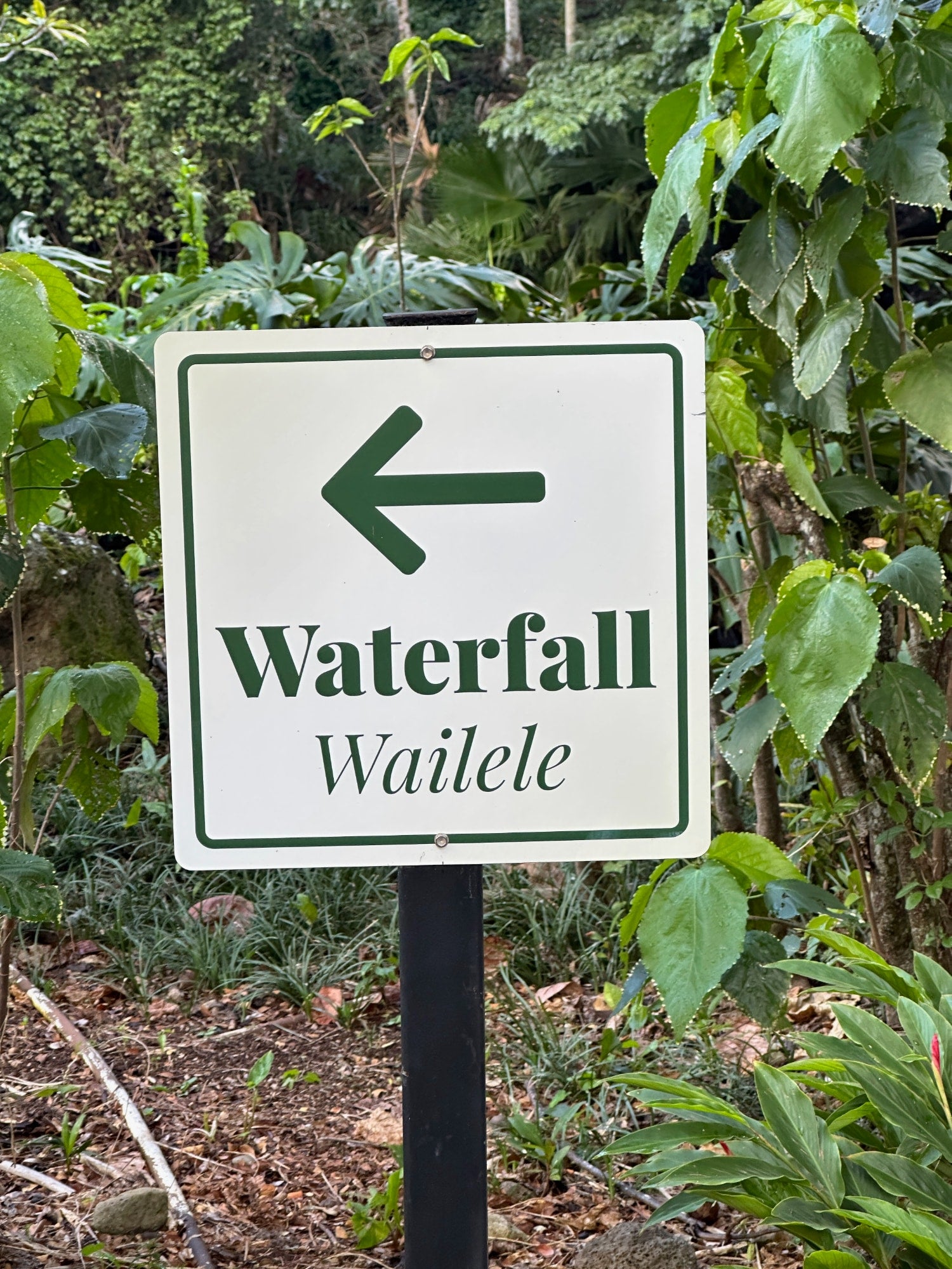 Lavahut Blog - Waimea Valley