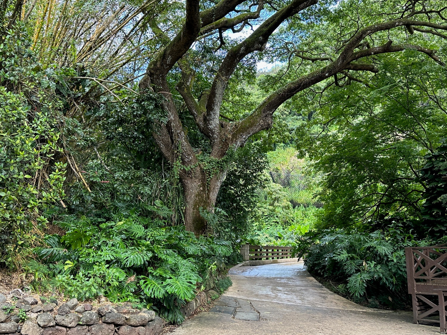 Lavahut Blog - Waimea Valley