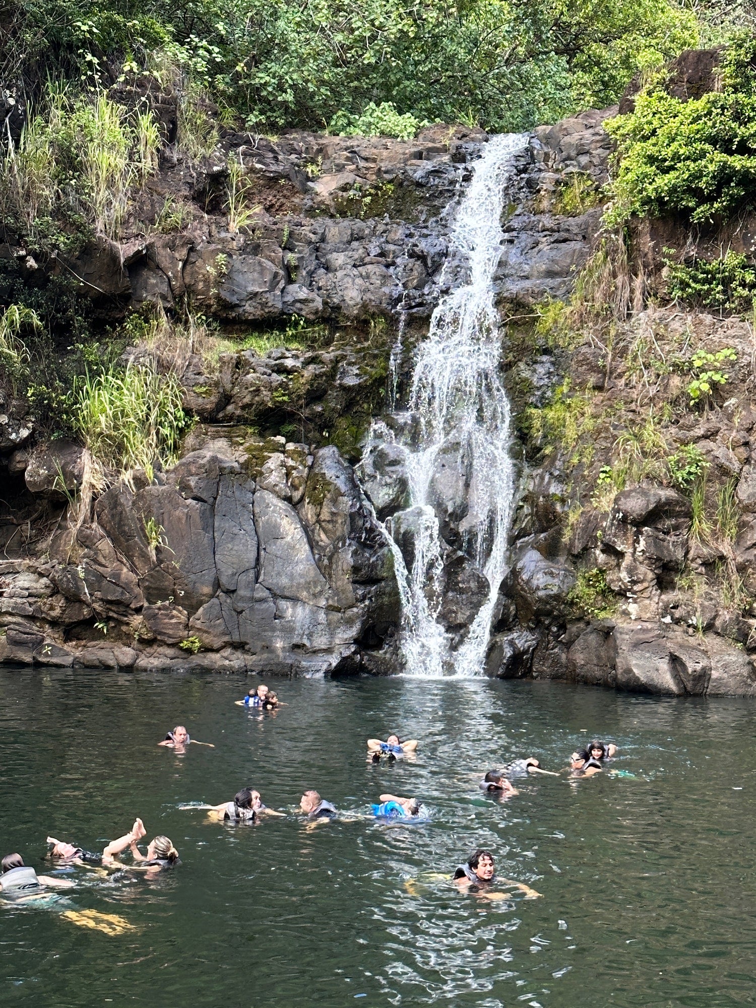 Lavahut Blog - Waimea Valley