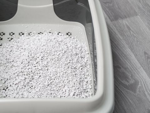 Cat litter box with integrated sieve.