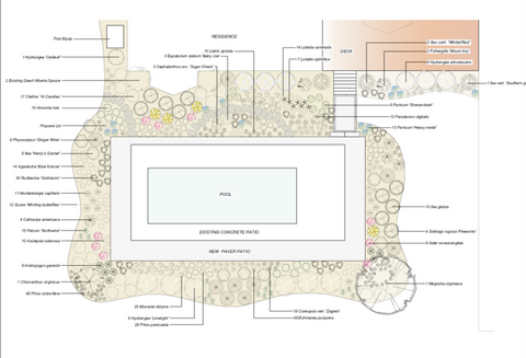 McCarthy design plan