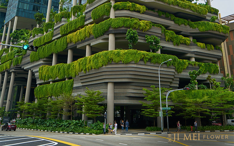 Ecological Buildings Facade With Green Plants and Flowers on Stone Wall