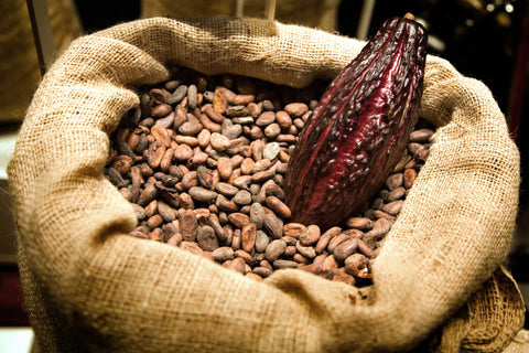 Cacao beans