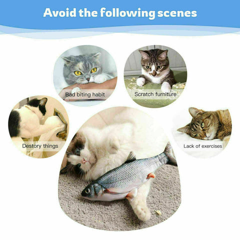 Fish Cat Toys