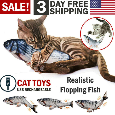 Fish Cat Toys