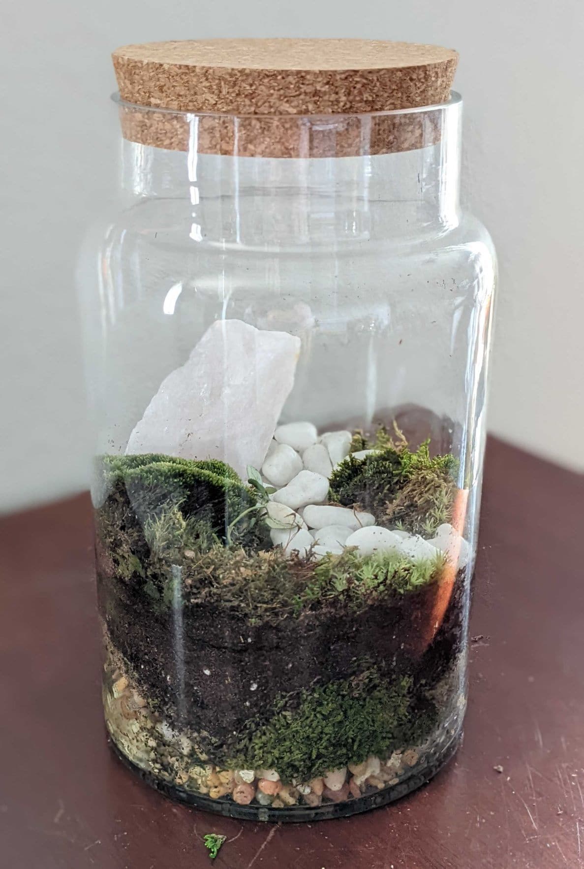 mason jar lifestyle DIY how to create your own terrarium using a mason jar natural items and cork lid stopper regular mouth