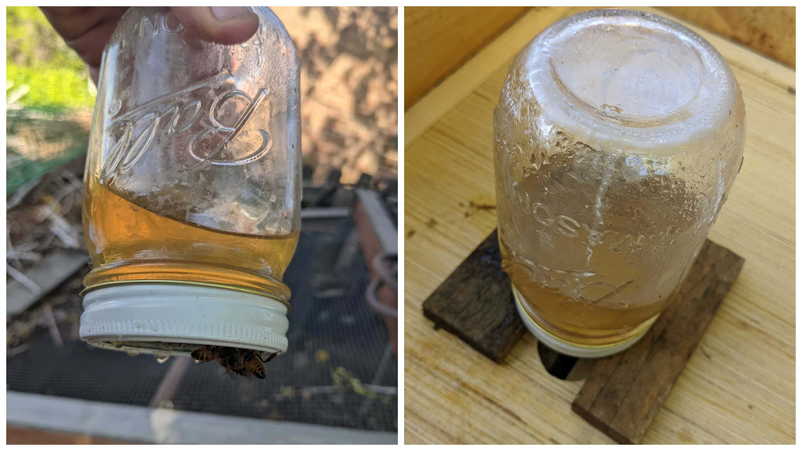 mason jar lifestyle urban farming with mason jars bee keeping swarm hive colony feed homemade syrup start honey