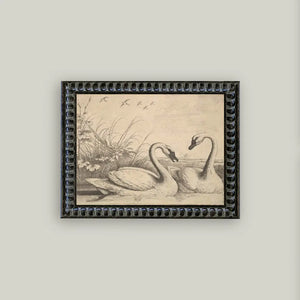 Two Swans Framed Art - Tell’s Terrain