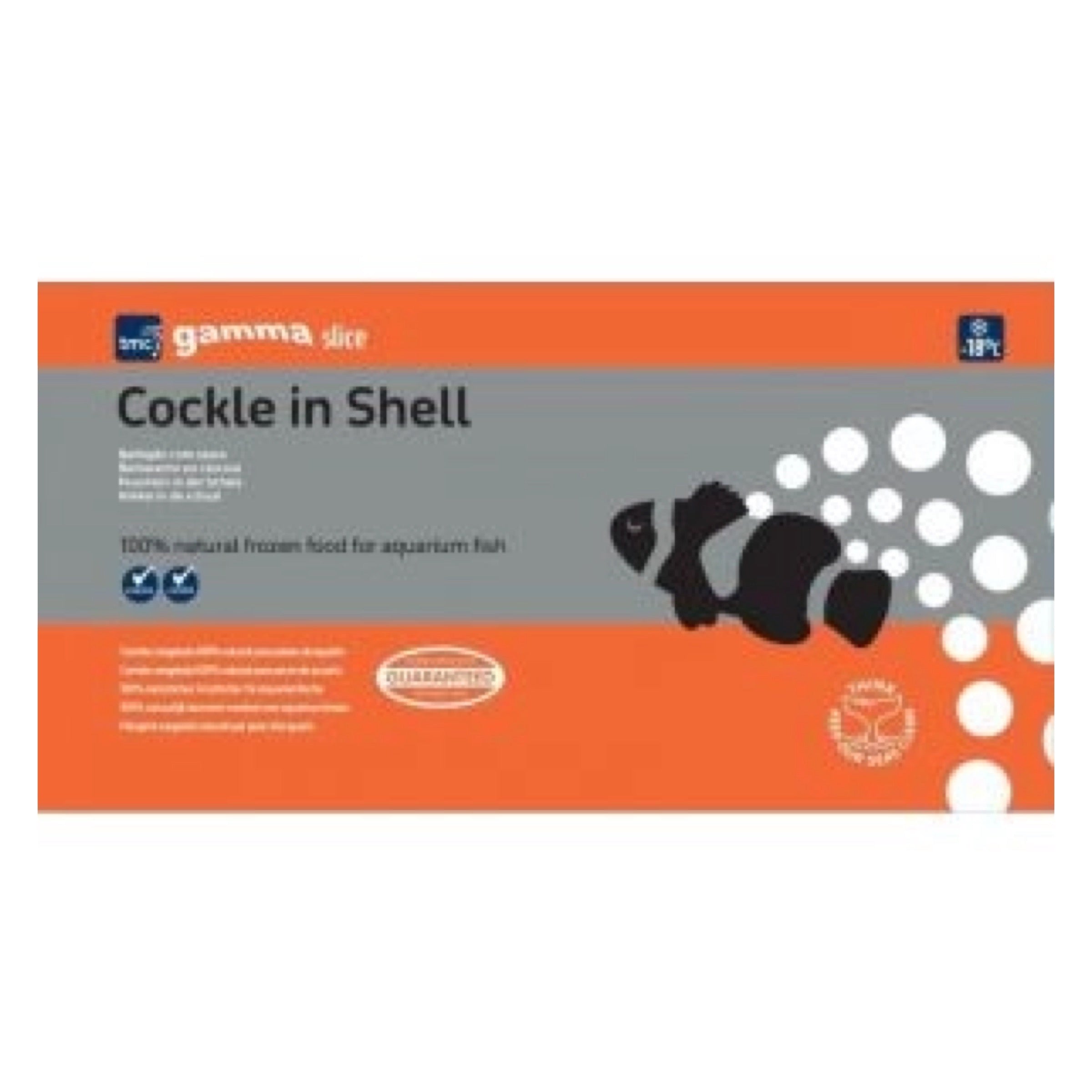 TMC Frozen Cockle in Shell