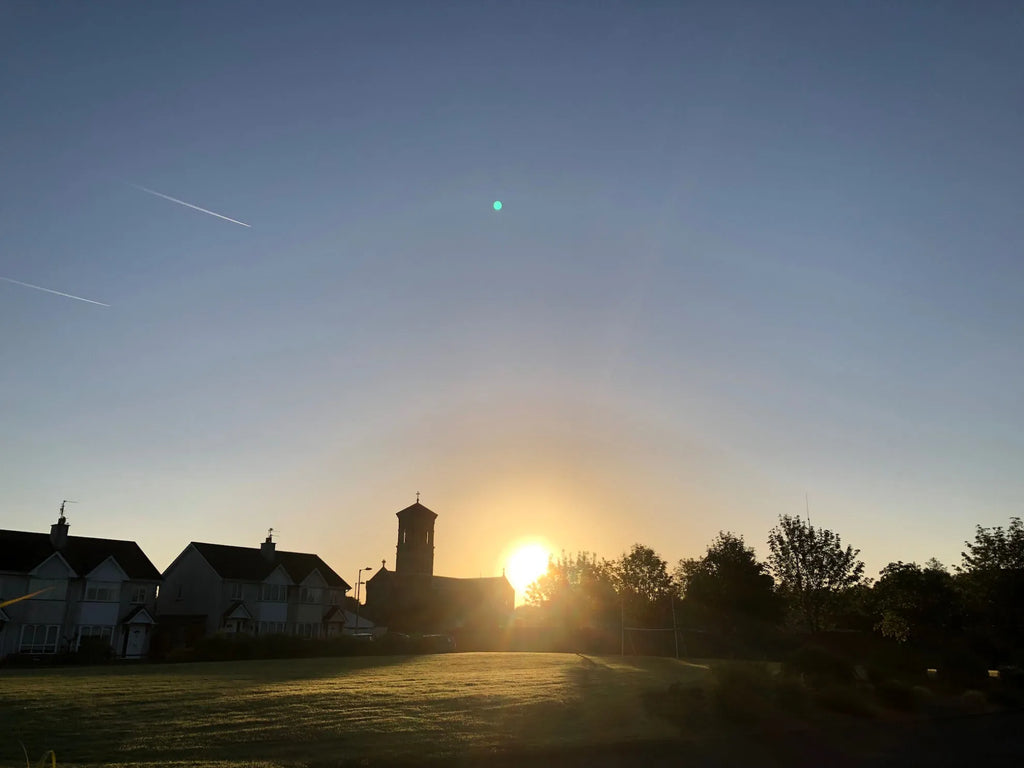 Lever de soleil au vignoble