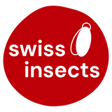 Swiss Insects