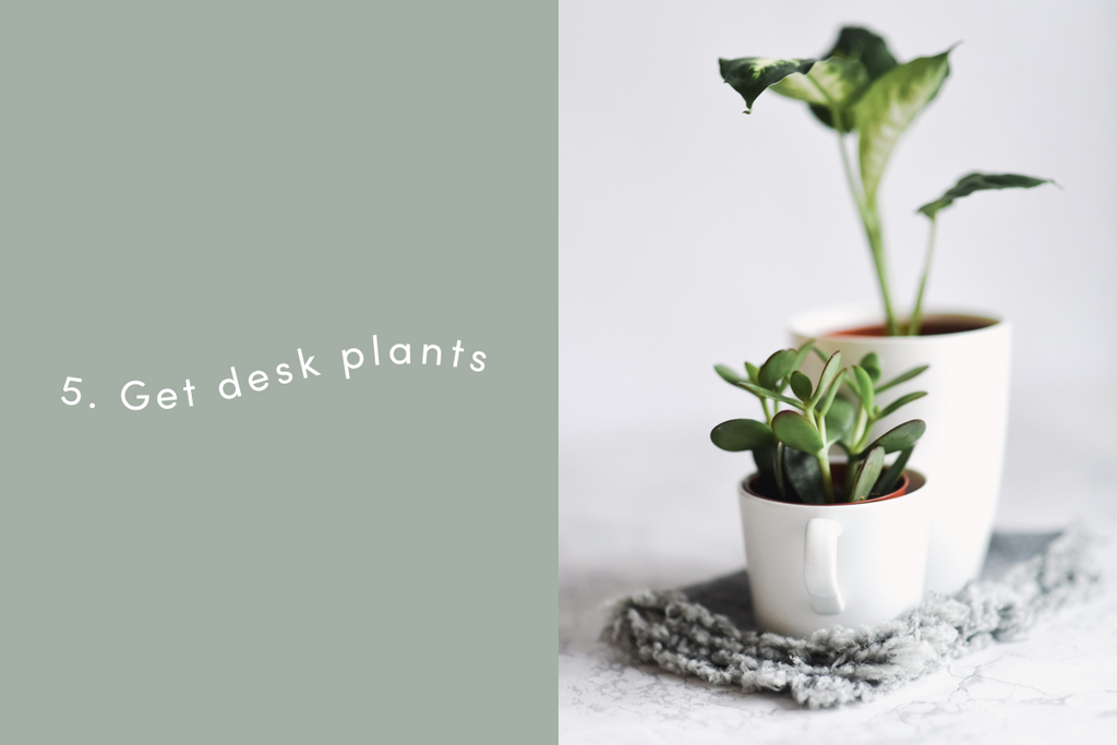 Get desk plants
