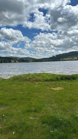 Weitläufige Ansicht eines Sees mit grünem Gras, das zum ruhigen See führt, blauer Himmel mit Cumuluswolken darüber und bewaldeter Hügel in der Ferne