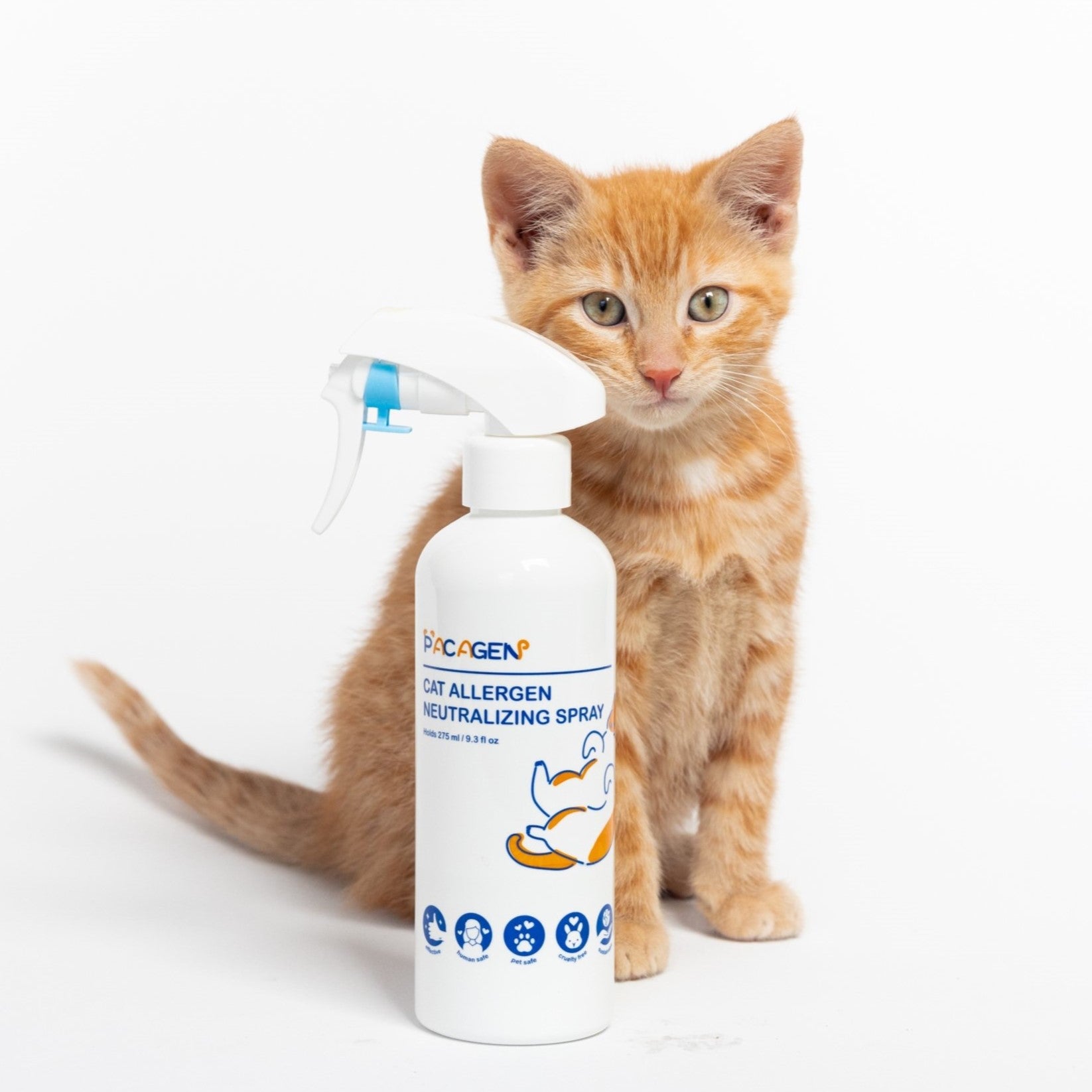 kitten sitting next to a pacagen spray bottle
