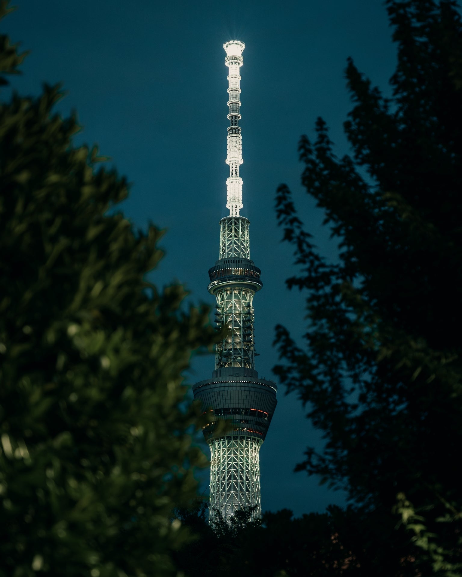 SkyTree_at_night