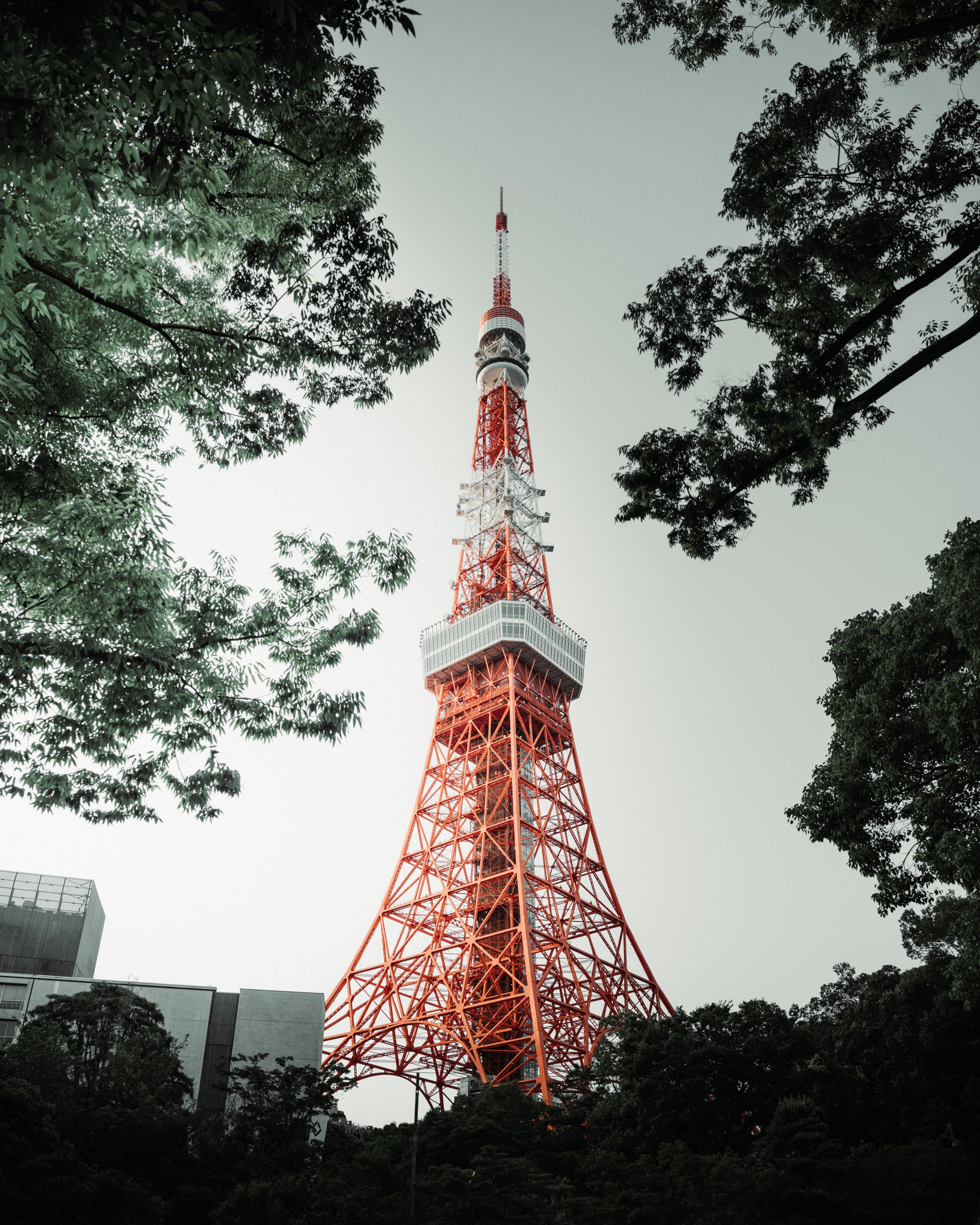 TokyoTower