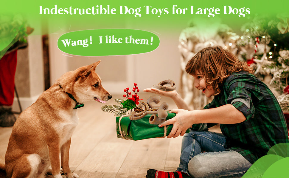 Nylon three-piece dog toy set for the dog