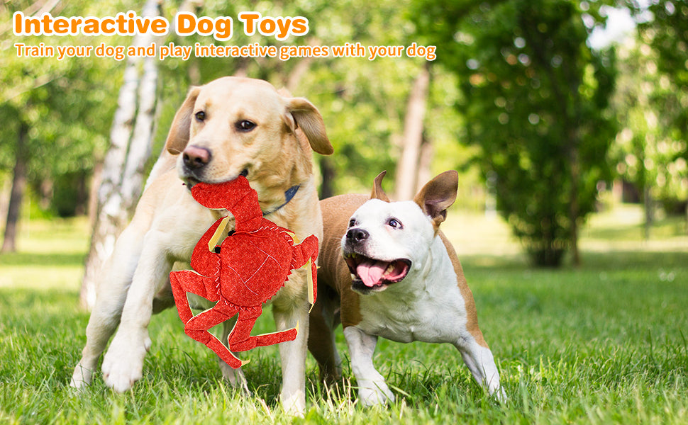 King Crab dog toys for aggressive dogs