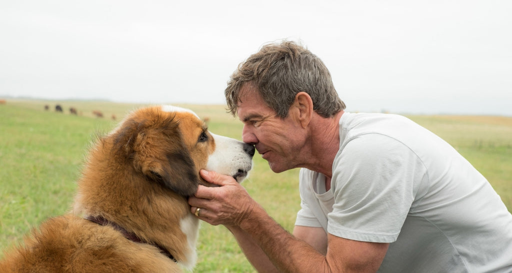 A man is making eye contact with a dog