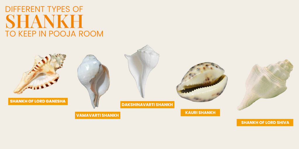 Different types of shankh to keep in the Pooja Room