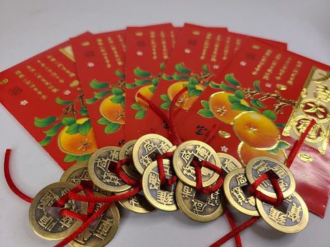 Feng shui coins - vastu shanti return gift