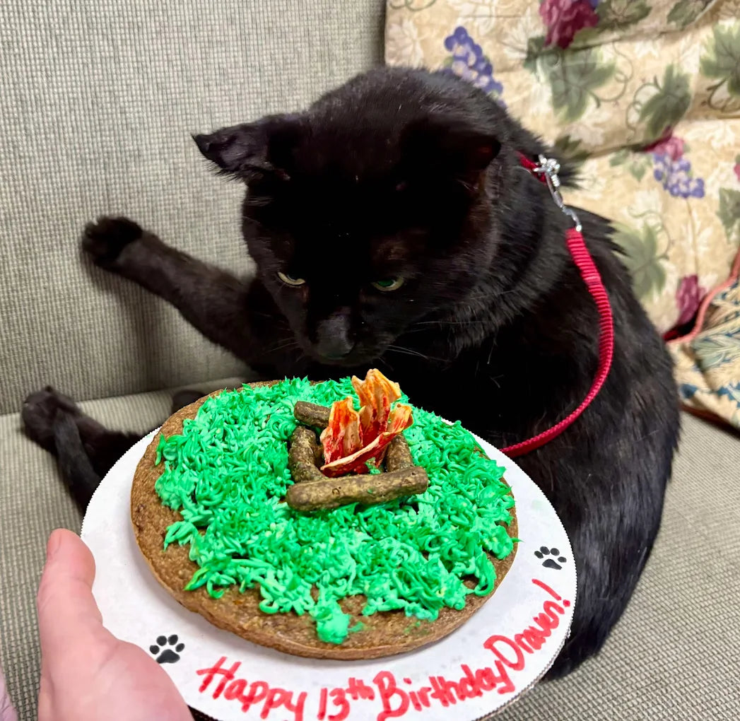 2025-07-08.webp__PID:5123406d-f317-43e0-a236-84d966daf1d1