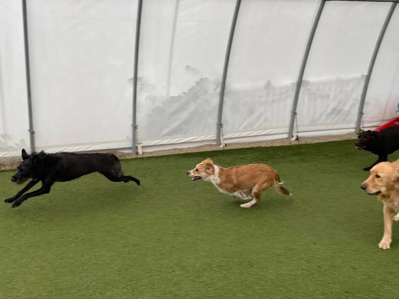 unnamed (1).webp__PID:23bc23eb-a103-4684-9d1c-867f857626fe